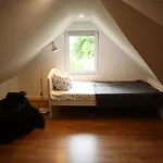 Cozy House Next To River Neretva In Nature *